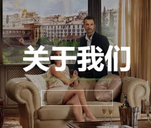 公司介绍