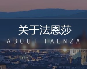 公司介绍