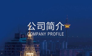 公司介绍